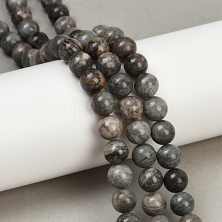 Natural Gemstone Beads Strands G-F792-C11-06-1