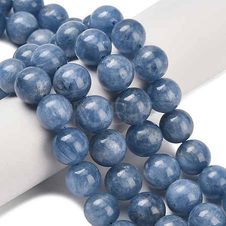 Natural Kyanite Beads Strands G-C259-B01-10mm-01-1