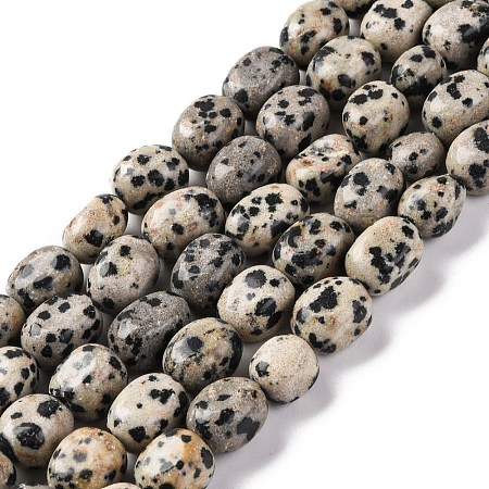 Natural Dalmatian Jasper Beads Strands G-G146-A24-01-1