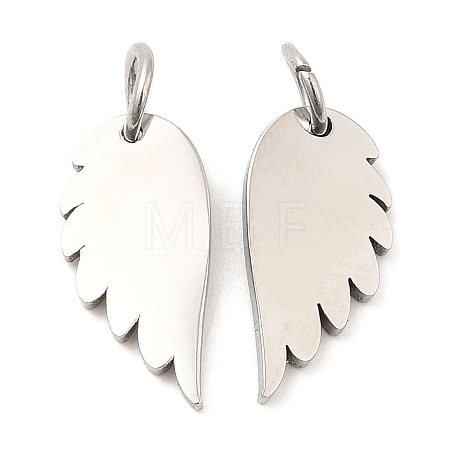 Non-Tarnish 304 Stainless Steel Charms STAS-Z042-12P-1