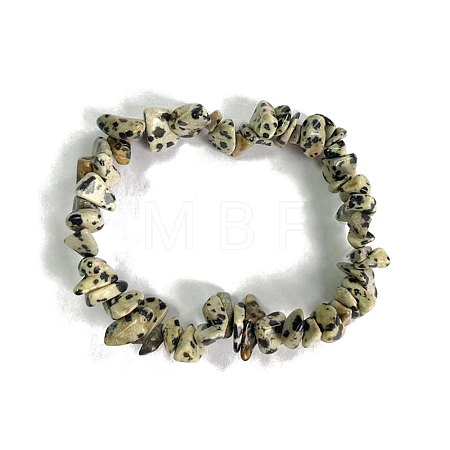 Natural Dalmatian Jasper Stretch Bracelets PW-WG56138-37-1