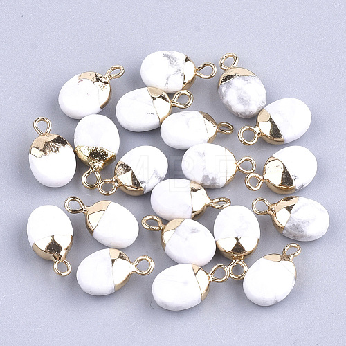 Electroplate Natural Howlite Charms G-S344-09F-1