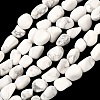 Natural Howlite Beads Strands G-C286-A20-2