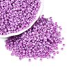 8/0 Ceylon Round Glass Seed Beads X-SEED-A011-3mm-150-1