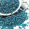 MIYUKI 3.4mm Drop Beads X-SEED-MY04-DP2405FR-3