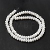 Natural Freshwater Shell Beads Strands BSHE-E026-15B-02-3