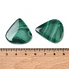 Natural Malachite Cabochons GG-CBA78D8-02-5