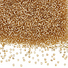 100G Glass Seed Beads SEED-SP0001-11B-1