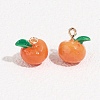 Fruit Alloy Enamel Charms ENAM-P264-02A-G-1