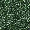 TOHO Round Seed Beads X-SEED-TR11-1006-2