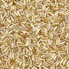 Plated Glass Bugle Beads SEED-S046-01A-22-3