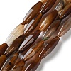 Natural Agate(Dyed & Heated) Beads Strands G-M446-A01-01A-2