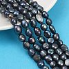 Natural Cultured Freshwater Pearl Beads Strands PEAR-P064-20K-05D-1