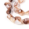 Natural Sea Shell Beads Strands SSHEL-N041-02B-3