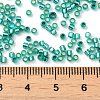 Glass Seed Beads X-SEED-S042-04B-29-4