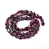 Natural Garnet Beads Strands X-G-L478-52-5