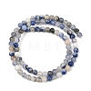 Natural Sodalite Beads Strands GSR4mmC013-6