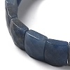 Natural Kyanite Stretch Bracelets BJEW-F406-B25-3