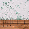 11/0 FGB Grade A Ceylon Glass Seed Beads X-SEED-N001-B-0487-3