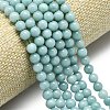 Natural Malaysia Jade Beads Strands G-L645-A01-4mm-25-3