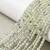 Natural Prehnite Beads Strands G-RM250104-A9-1