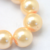 Baking Painted Pearlized Glass Pearl Round Bead Strands HY-Q003-10mm-61-3