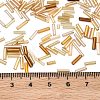 Glass Round Bugle Beads SEED-XCP0001-47G-4