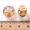 Transparent Two-Color Brass Cores Acrylic European Beads OACR-M024-05P-05-3