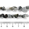 Natural Eagle Eye Stone Beads Strands G-P497-01C-52-5