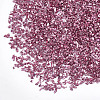 Plated Glass Seed Beads MRMJ-S034-04C-2