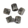 Natural Labradorite European Beads G-P520-05K-1