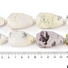 Natural White African Opal Beads Strands G-P548-B09-01-4