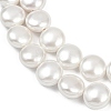 Electroplated Shell Pearl Beads Strands BSHE-G027-13B-4