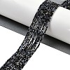 Natural Sapphire Beads Strands X-G-P553-G07-01-2