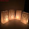 Hollow Candle Paper Bag CARB-WH0007-01-4