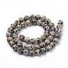 Natural Dalmatian Jasper Beads Strands G-S259-24-10mm-2