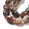 Natural Botswana Agate Beads Strands G-NH0015-C03-01-4