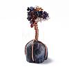 Natural Gemstone Chips and Fluorite Pedestal  Display Decorations G-S282-02-5