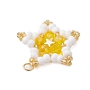 Glass Seed Beaded Star Pendants PALLOY-MZ00541-02-4