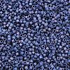 MIYUKI Delica Beads SEED-X0054-DB2319-2