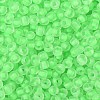 6/0 Luminous Glass Seed Beads X1-SEED-NH0001-01H-4