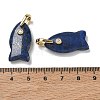 Dyed Natural Lapis Lazuli Pendants G-A297-01G-19-3