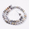 Natural White African Opal Beads Strands G-F563-03-8mm-2
