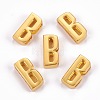 Alloy Slide Charms PALLOY-I201-01G-B-2