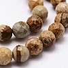 Natural Picture Jasper Beads Strands G-D840-47-10mm-3