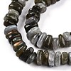 Natural Labradorite Beads Strands G-T141-09-4