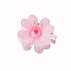 Resin Claw Hair Clips PW-WG87363-01-1