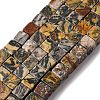 Natural Map Stone Beads Strands X-G-T139-8x8-45B-2
