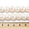 Natural Cultured Freshwater Pearl Beads Strands PEAR-C003-22A-5