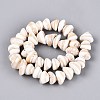 Natural Sea Shell Beads Strands SHEL-Q028-02-2